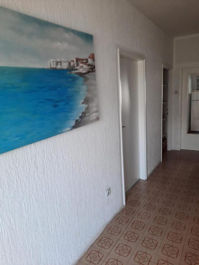 Apartman Marijana 诺维·维诺多尔斯基 外观 照片